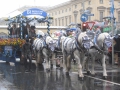 Wiesn-2011 (140)