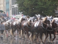 Wiesn-2011 (16)