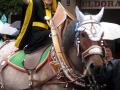 Wiesn-2011 (33)